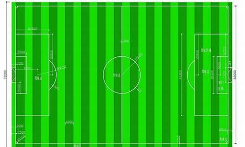 足球比赛场地大小标准_足球比赛场地大小标准是多少